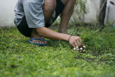 Low section of man on grass