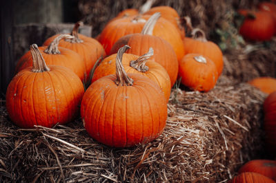 Pumpkins on hay