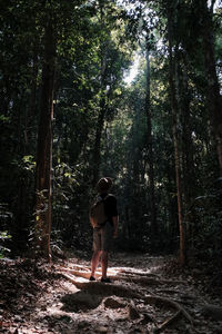 Rear view of man standing by trees in forest