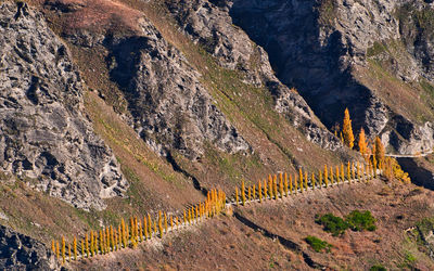 Autumn colours on the back country road 