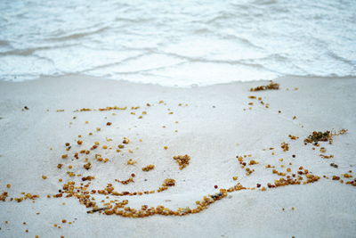High angle view of sand on beach