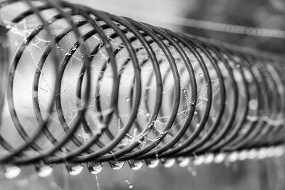 Close-up of spider webs on wet spiral