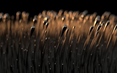 High angle view of sticks on wood