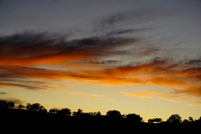 Low angle view of silhouette trees against dramatic sky