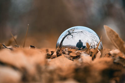 Close-up of inox ball on field