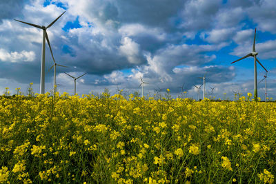 Scenic view of field against cloudy sky