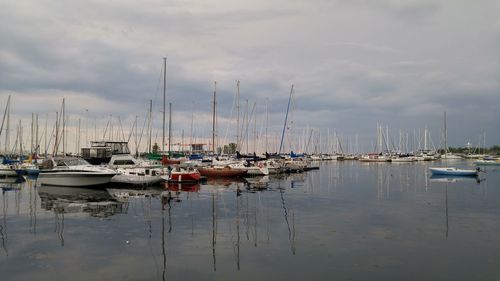 Sailboats in marina