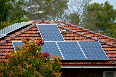 Low angle view of plants growing on roof