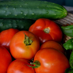 Close-up of tomatoes