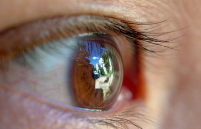 Close-up of human eye