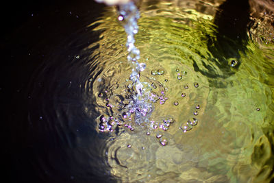 High angle view of bubbles in water