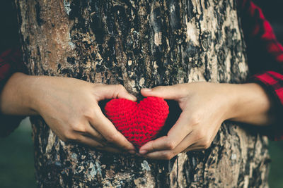 Cropped hands of woman holding woolen heart shape against tree trunk