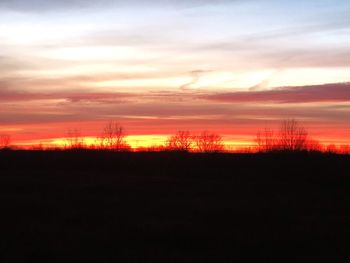 Silhouette trees on field against orange sky