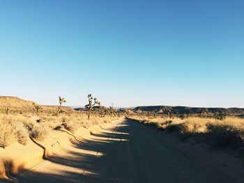 Dirt road passing through desert