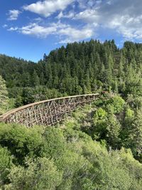 View of bridge in forest against sky