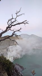 Bare tree on mountain against sky