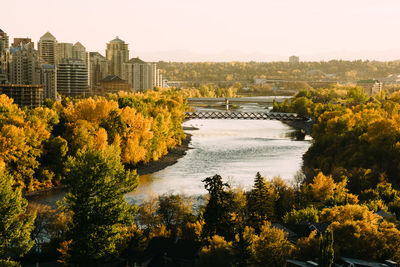 View of cityscape during autumn