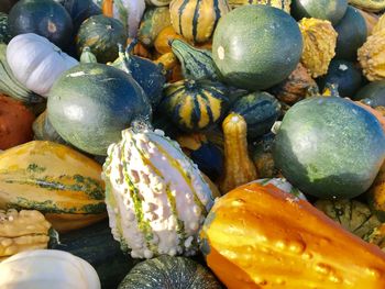 Full frame shot of pumpkins at market stall