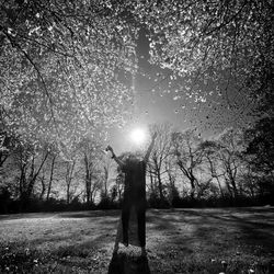 Rear view of woman standing in field against trees and sun