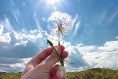 Cropped hand holding dandelion against sky on field