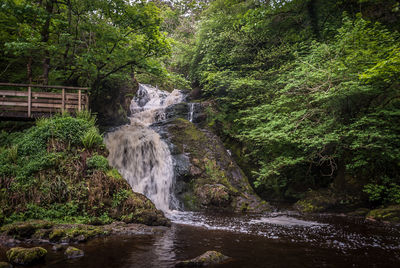 Scenic view of waterfall in forest