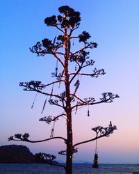 Low angle view of decorative tree by sea against sky during sunset