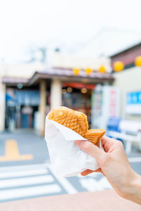 Cropped hand of person holding food