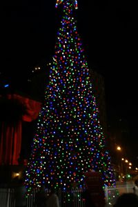 Low angle view of illuminated christmas tree