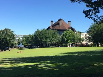 Park on sunny day