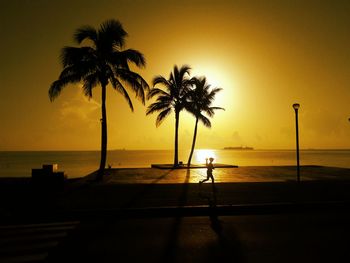 Silhouette palm tree on beach against sky during sunset