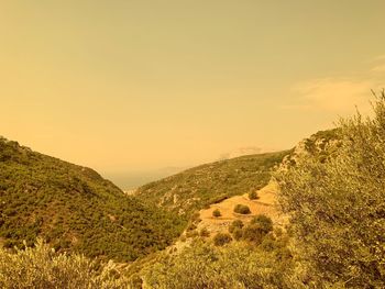 Scenic view of landscape against sky during sunset