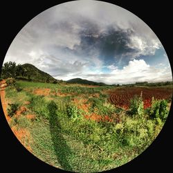 Scenic view of field against cloudy sky