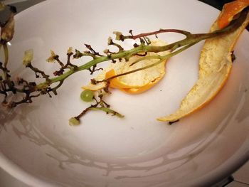 High angle view of bread in plate