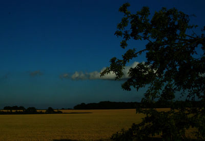 Scenic view of field against blue sky