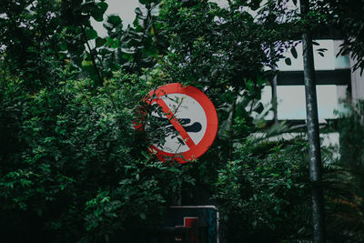 Road sign by trees