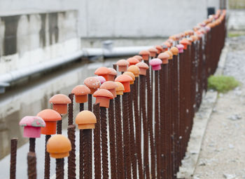 Close-up of padlocks hanging on railing