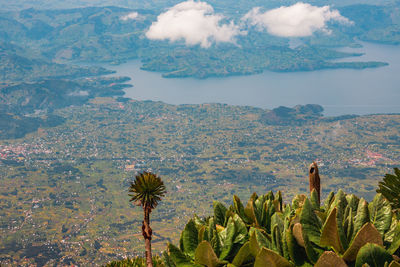 Lake burera in rwanda seen from mount muhabura in the mgahinga gorilla national park, uganda