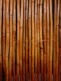 Detail shot of bamboo