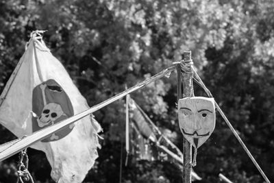 Close-up of holding umbrella