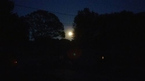 Low angle view of silhouette trees against sky at night