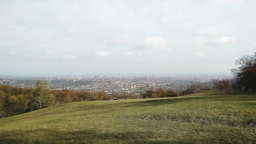 Scenic view of field against sky