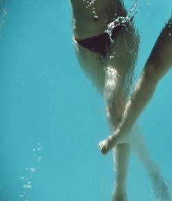 Jellyfish swimming in sea