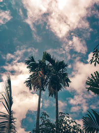 Low angle view of palm trees against sky