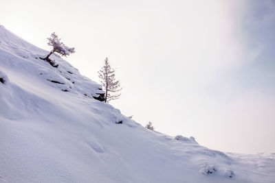 Snow covered land against sky