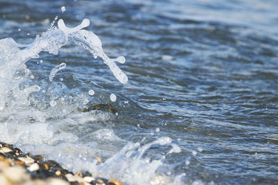 Close-up of crab in sea