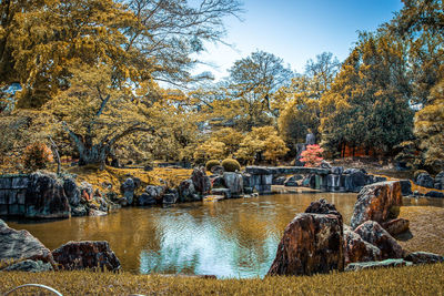 Scenic view of lake in park