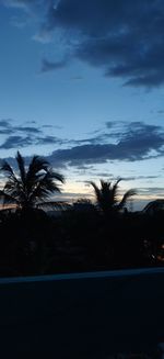 Silhouette palm trees against sky at sunset