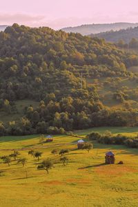 Scenic view of field against mountain