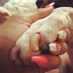 Close-up of human hand holding hands