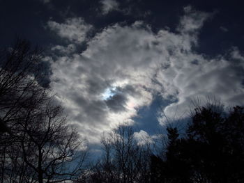 Low angle view of trees against cloudy sky